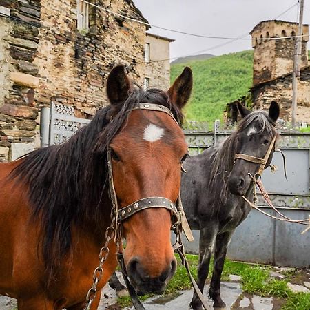 Bori'S Guesthouse Ushguli Dış mekan fotoğraf