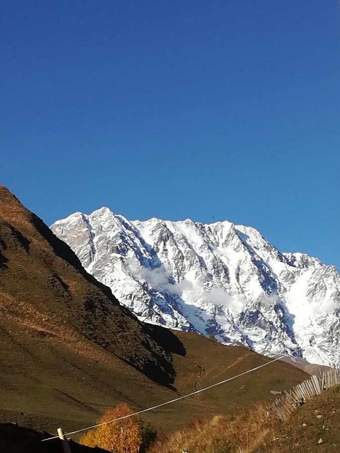 Bori'S Guesthouse Ushguli Dış mekan fotoğraf