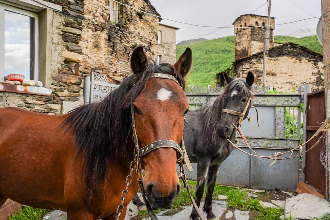 Bori'S Guesthouse Ushguli Dış mekan fotoğraf